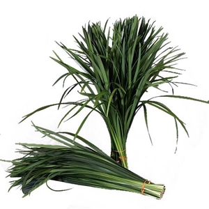 T-grass Groen