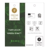 Farfugium 'Green Giant'® P21