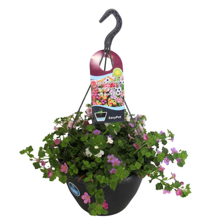 <h4>Hangpotten 27 waterreservoir Mix 13 Bacopa Trio</h4>