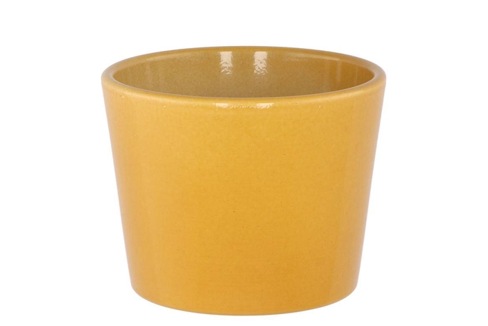 <h4>Ceramic Shiny Curry Pot 11cm Nm</h4>
