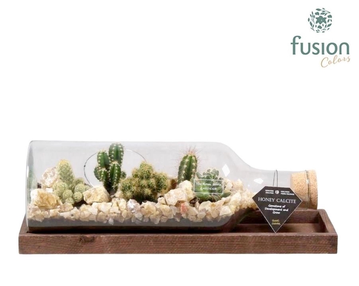 <h4>Green Bottle Fles Medium liggend met Cactussen</h4>