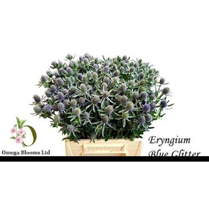 Eryn Pl Blue Glitter