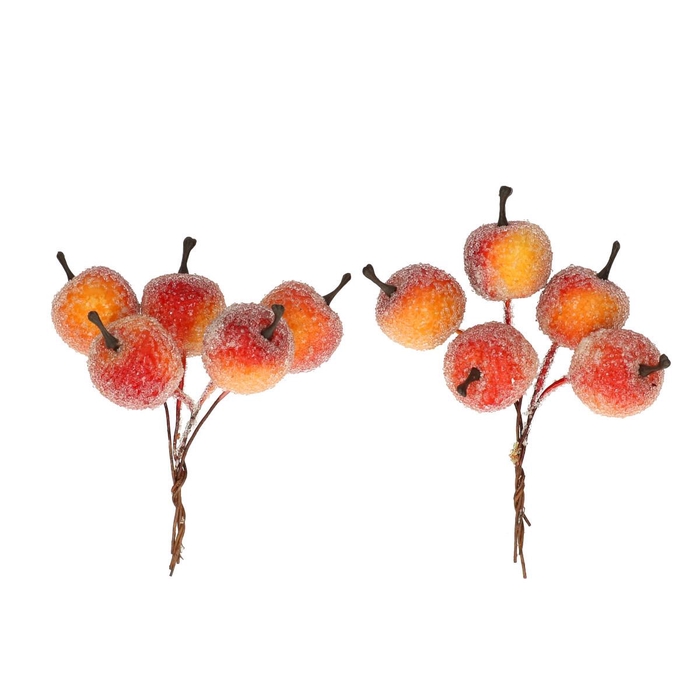 <h4>Herfst Appel frosted/draad 2.5cm x20</h4>