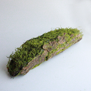 TRONCO 83CM - SMO 5520 IMP