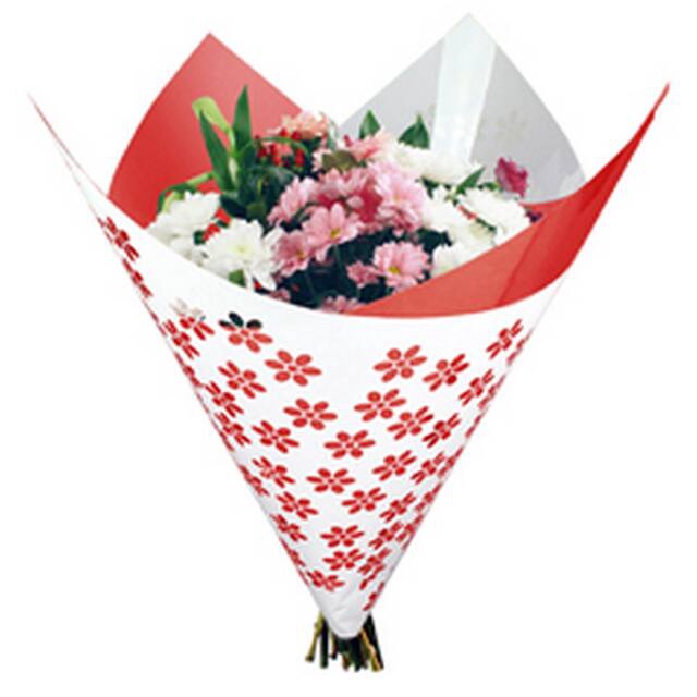 <h4>Housses 52x35x10cm OPP40 Kraftline rose</h4>