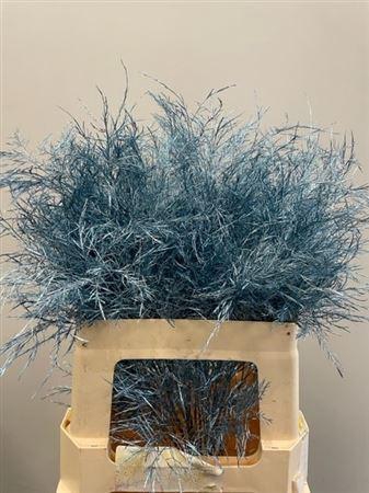 <h4>Treefern Metallic Blue</h4>