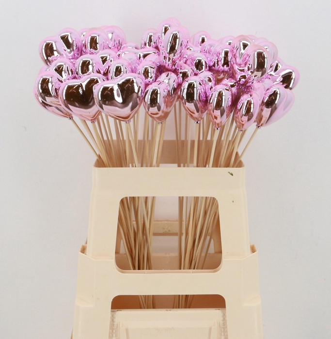 <h4>HARTJE OP STOK H%</h4>