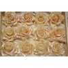 Wax Roos Pearl Zalm