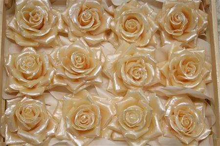 Wax Roos Pearl Zalm