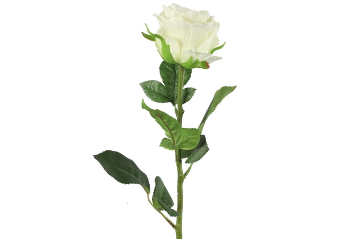 <h4>Af Rosa L70cm Wit</h4>