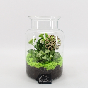 BACR-2407GR Basic fundamentals terrarium