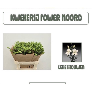 LI LA LITOUWEN
