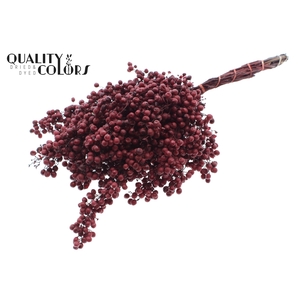 Dried schinus mollis paint bordeaux