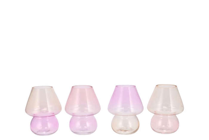 <h4>Bicolore Dreamy Pastel Mix Mushroom Ass 12x15cm Nm</h4>