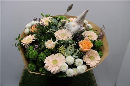 <h4>Gem Boe Groot Zalm 35 Stelen Vers</h4>