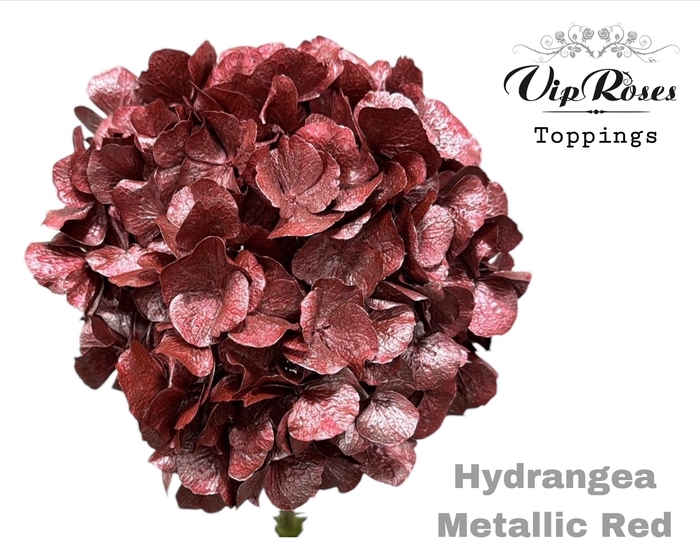 HYDR M METALLIC RED 80cm