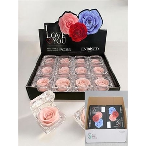 Preserved Roses In Box Cherry Pink