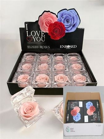 Preserved Roses In Box Blue