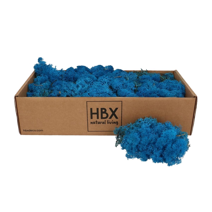 <h4>Preserved Rendiermos 400-500g</h4>