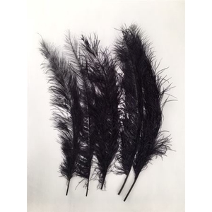 Feather Ostrich 5pcs Black