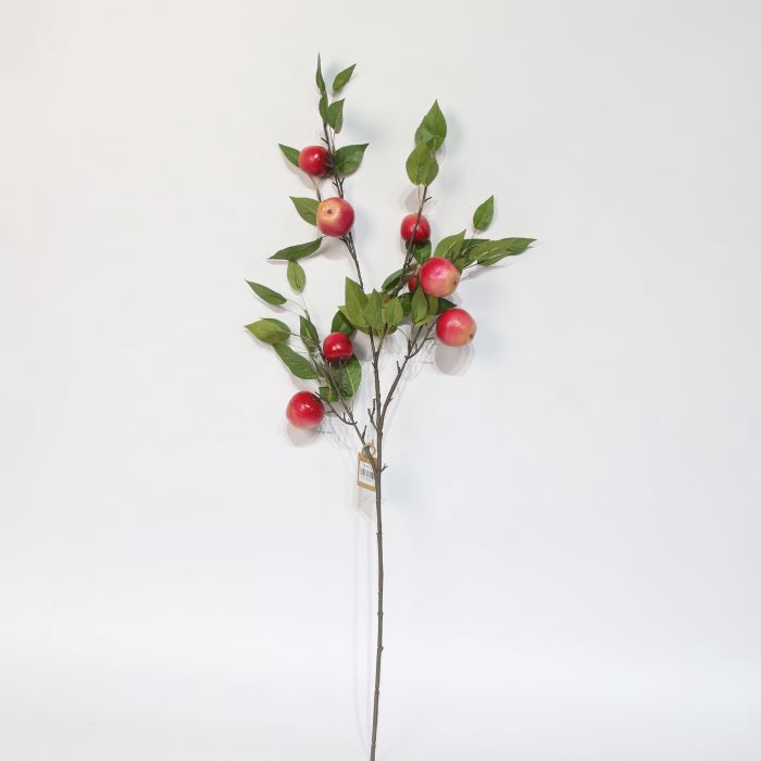 <h4>STEM APPLE GRANNY L95W15H14 red</h4>