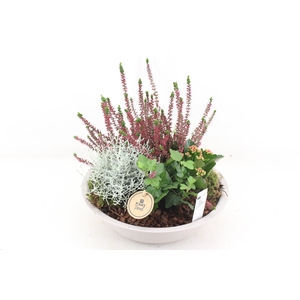 arr4 Outdoor PL - Zink creme schaal L