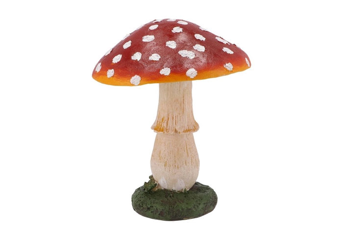 <h4>Mushroom Red 18x18x22cm Nm</h4>