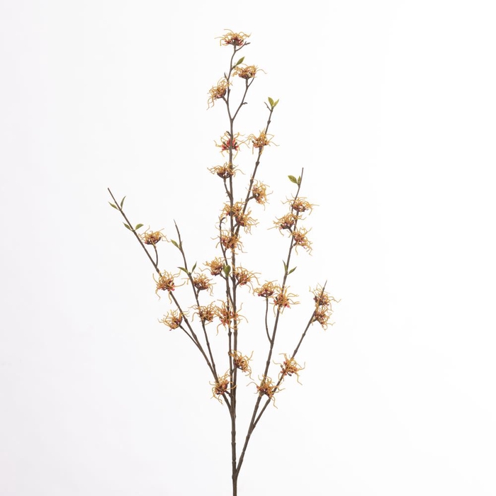 <h4>Af Hamamelis L121cm Yellow</h4>