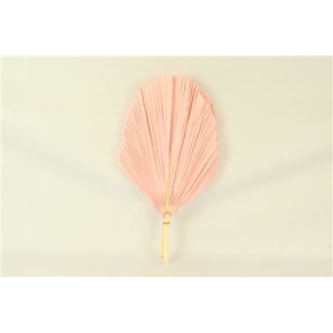 Dried Palm Spear 3pc Xxl Bl L Pink Bunch