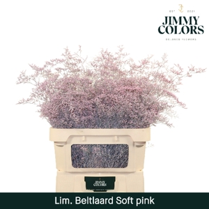Lim Bel L90 Soft pink