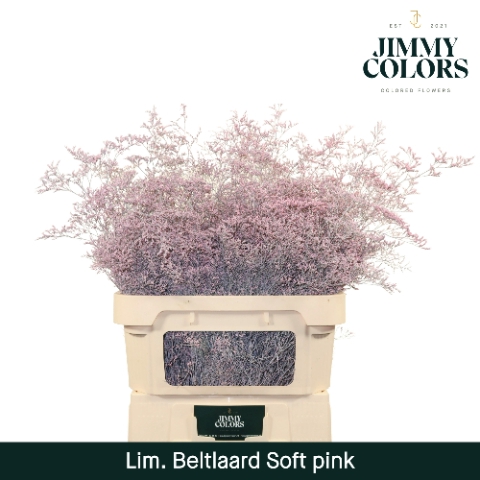 <h4>Lim Bel L90 Soft pink</h4>