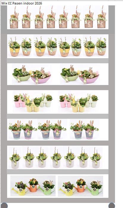 <h4>Mix CC Pasen Indoor</h4>