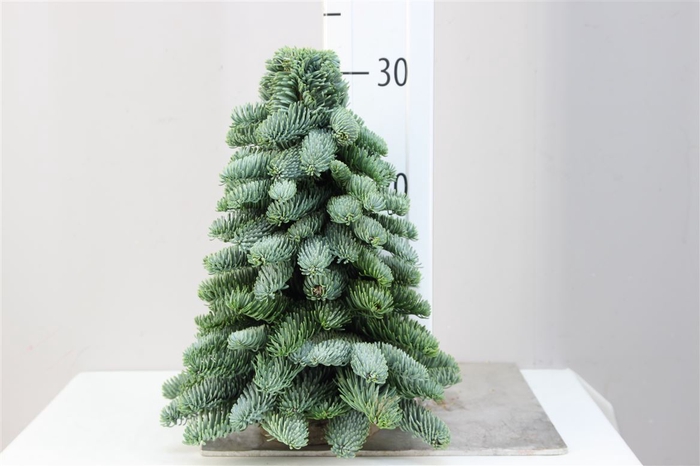 <h4>Deco Kerstboom Nobilis 30cm</h4>