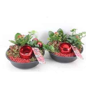 arr2 MB - Zink black kal. ech. red