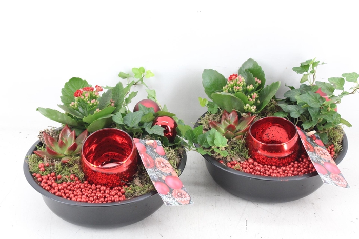 <h4>arr2 MB - Zink black kal. ech. red</h4>