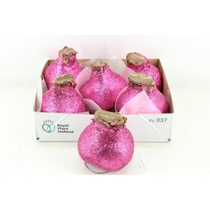 arr4 Amaryllis CM - Wax glitter roze