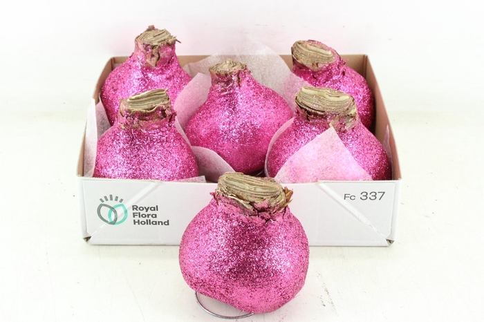 <h4>arr4 Amaryllis CM - Wax glitter roze</h4>