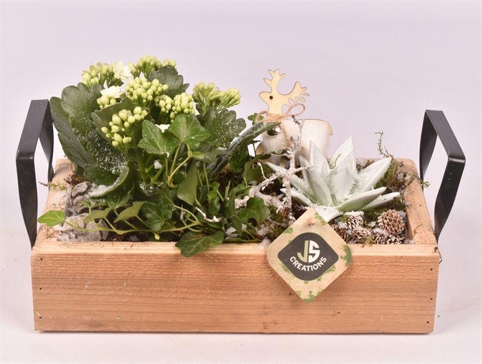 <h4>Hout dienblad metal greep 30x15cm</h4>