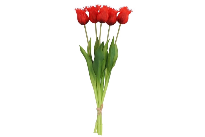 <h4>Silk Tulip 5x Red 46cm Nm</h4>