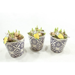 6447 RESA BLAUW-WIT TETE