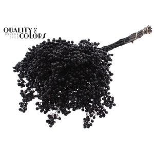 Dried schinus mollis paint black