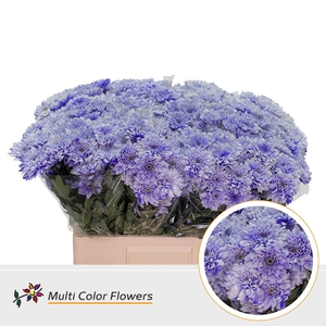 Chr T Euro Soft Milka