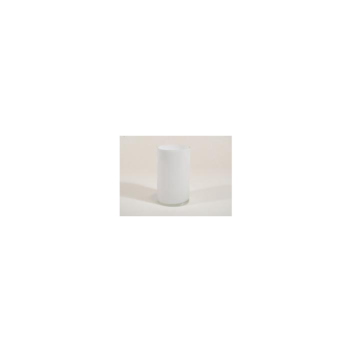 <h4>GLAS VAAS WIT CYLINDER D12 H20</h4>