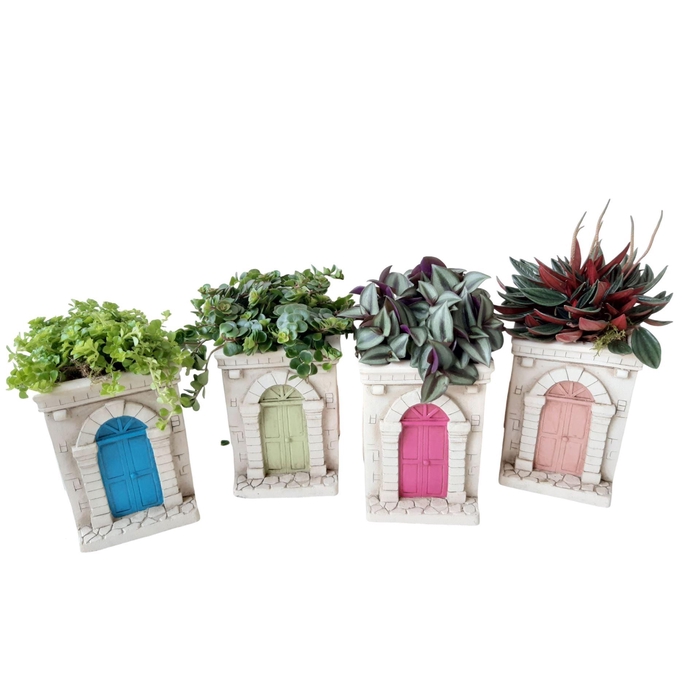 <h4>Arr.   Kamerplant Groen L%</h4>