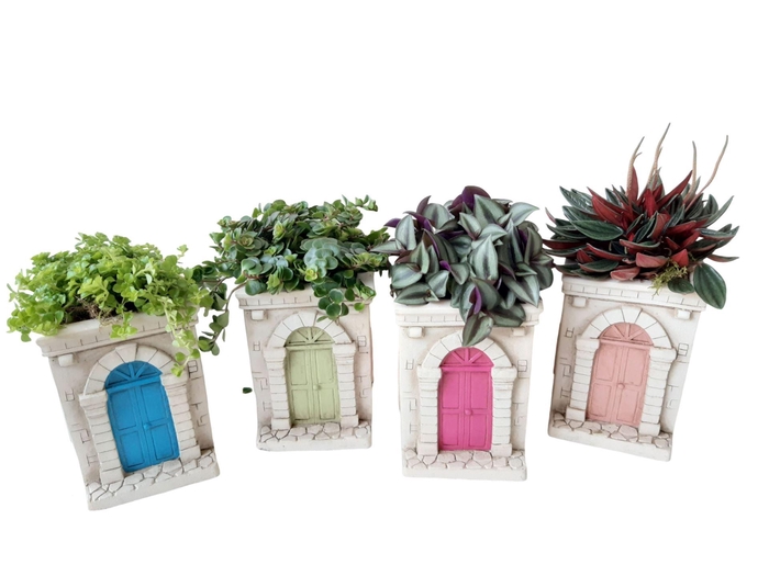 <h4>Arr.   Kamerplant Groen L%</h4>