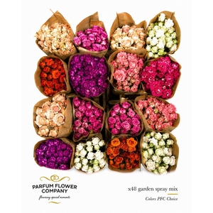 Rosa Spray Garden Mix Blik