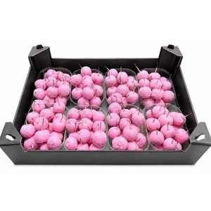 WAX APPEL H%