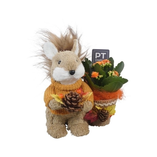 <h4>PTHI5452 Arrangement Herfst Indoor in stro figuur</h4>