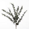 AF Eucalyptus Spray L72cm Gree