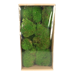 Preserved Moss 7-15cm x10